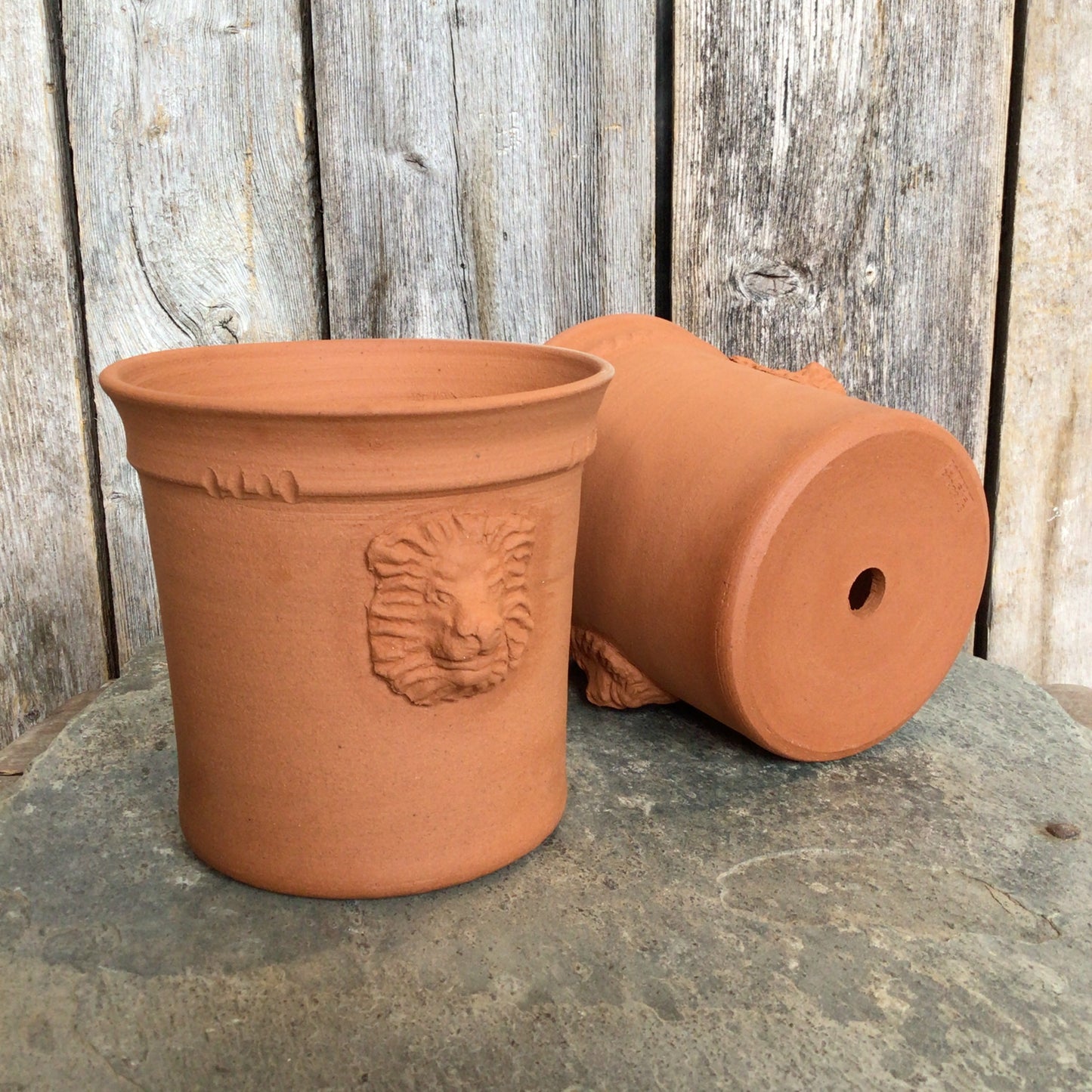 Løvepotte terra cotta , liten